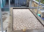 Nơi Bán Men Vi Sinh Kỵ Khí Giá Tốt Nhất | Cam Kết Chính Hãng