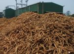 Vận hành hệ thống xử lý nước thải chế biến tinh bột sắn
